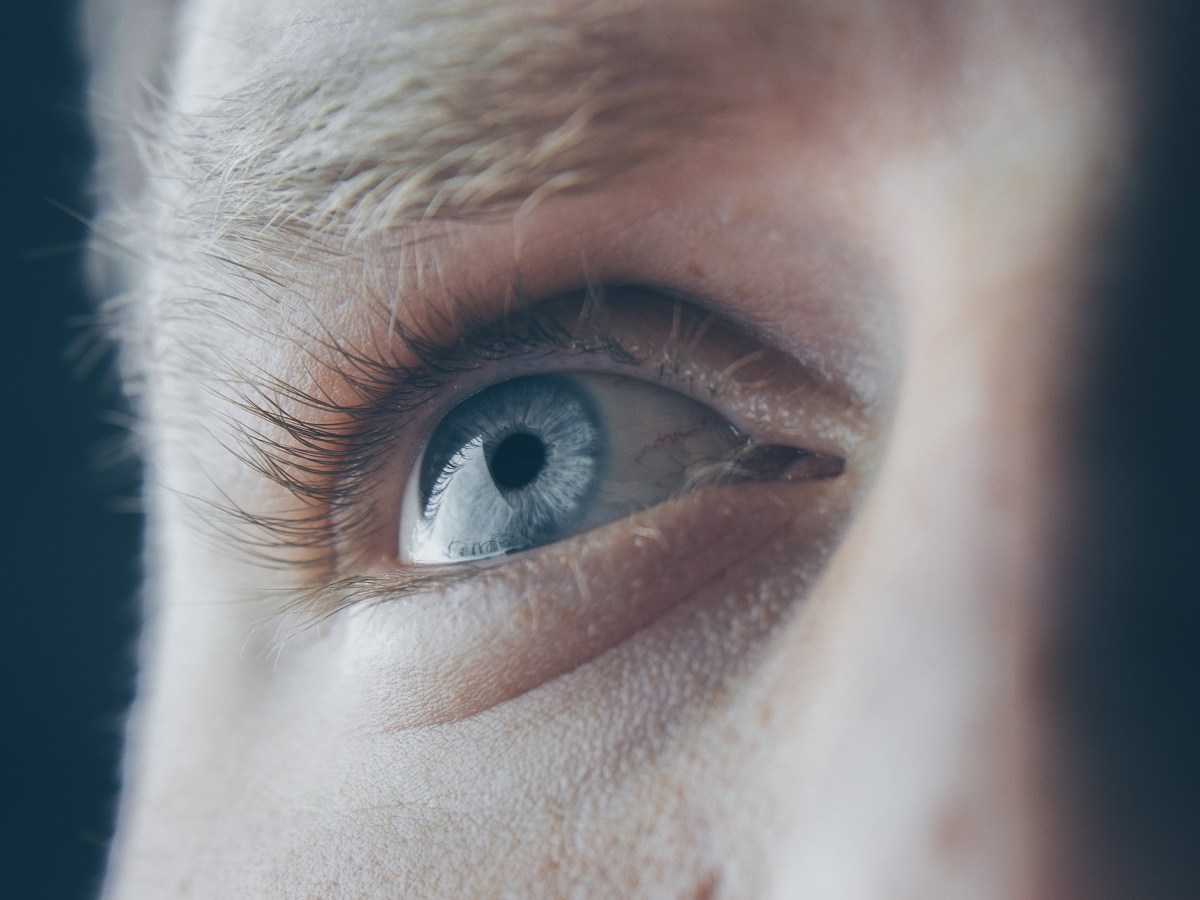 Light regulates our internal clock