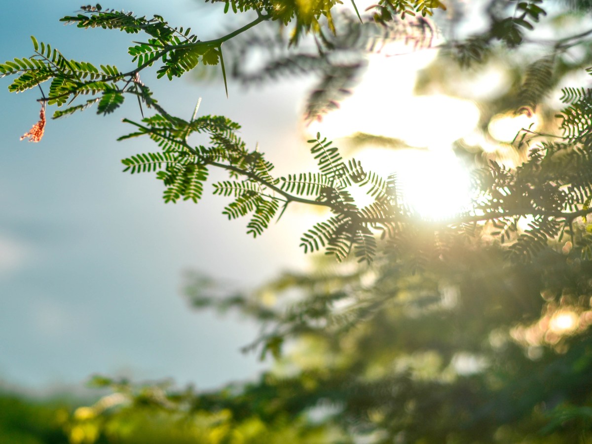 Synchrony of the circadian rhythm for healthy sleep