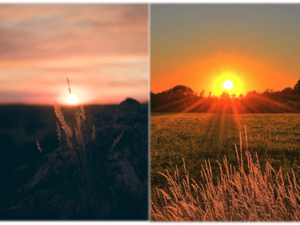 Know your chronotype